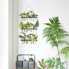 Wooden frame of Mkono Plant Propagation Station