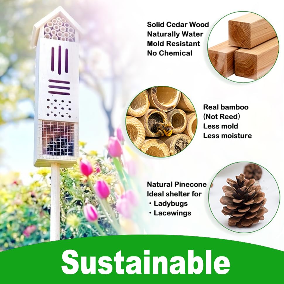 Wooden insect house side view with compartments