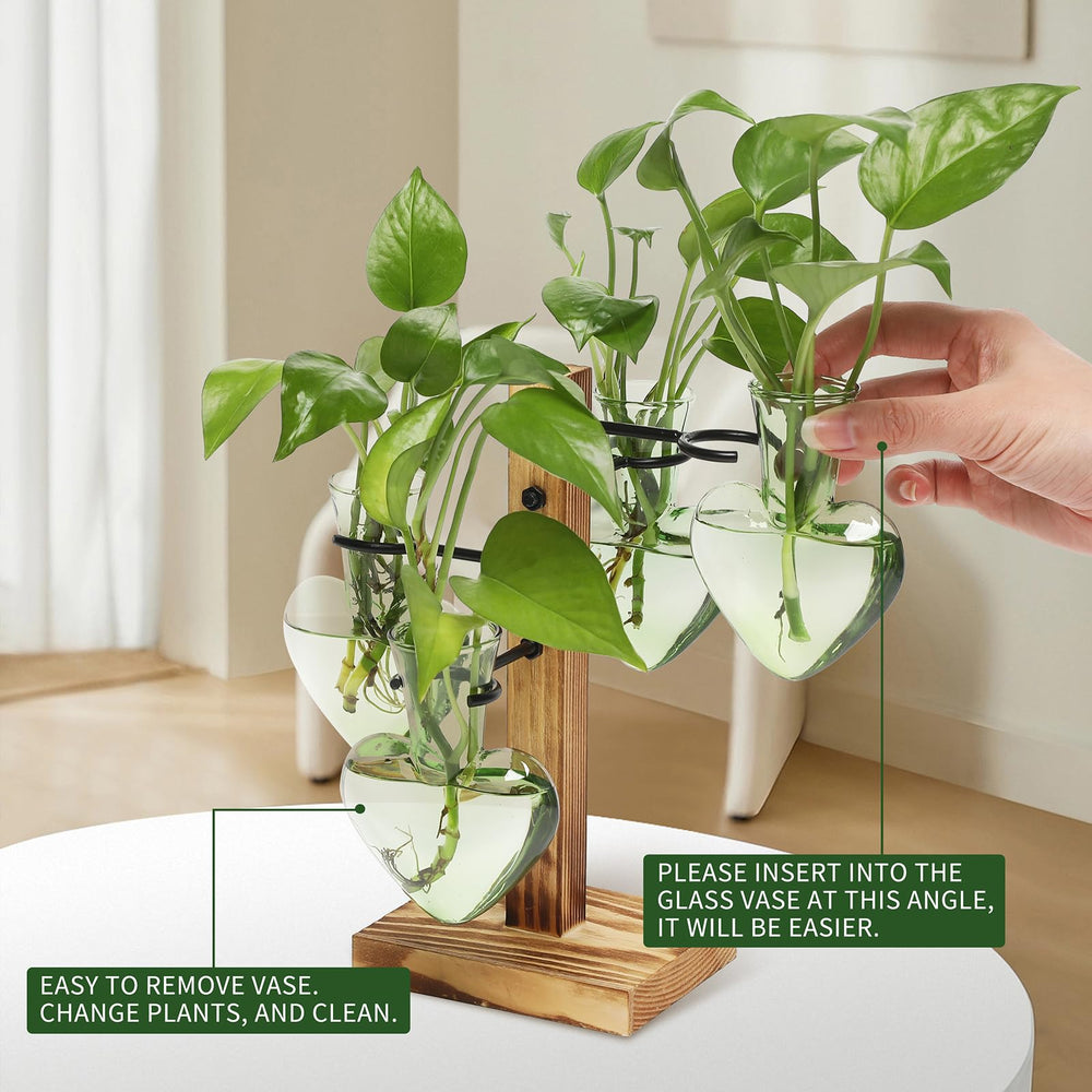 Wooden stand of CYZglass Plant Propagation Station