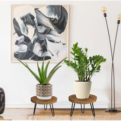 Wooden top of OBTAIN plant stand showing natural finish
