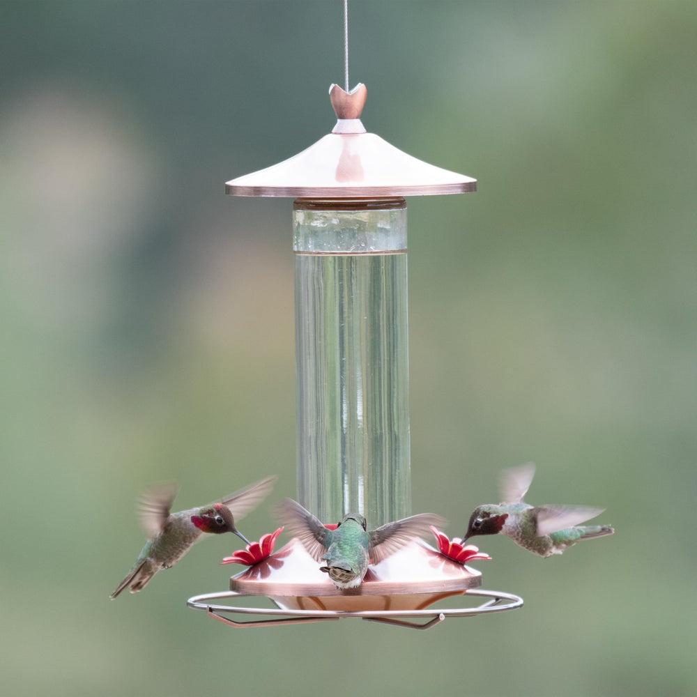 Woodstream Hummingbird Feeder in garden setting