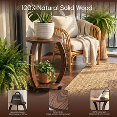 WooOrganix dark brown wooden plant stand in a living room