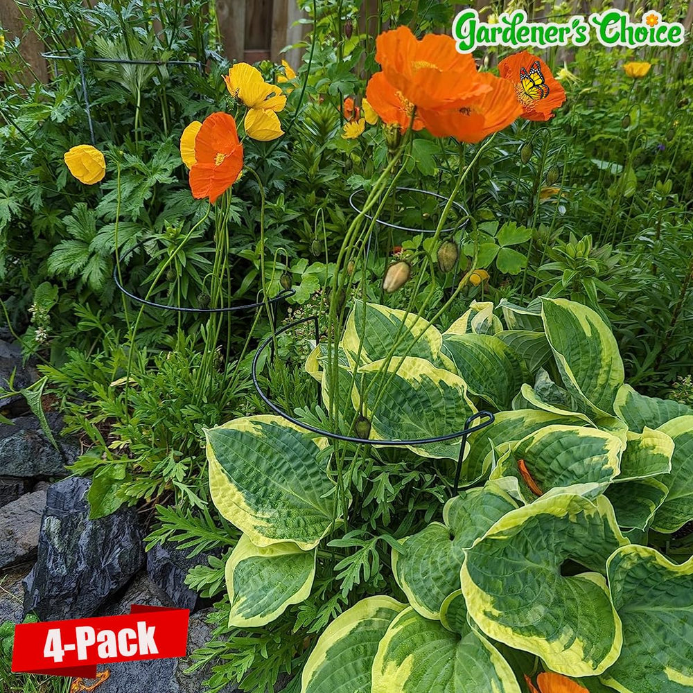 WooWellGoGoGo Snake Plant Support Stake in soil with indoor plants