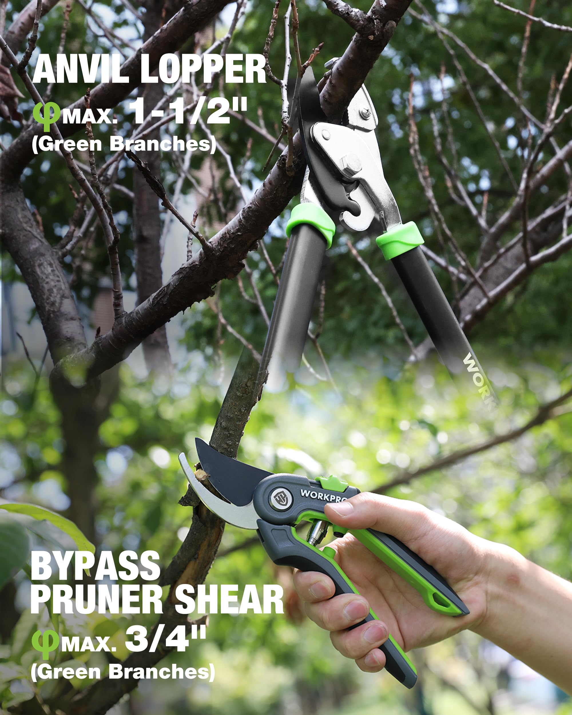WORKPRO 3-Piece Garden Shears Set in packaging