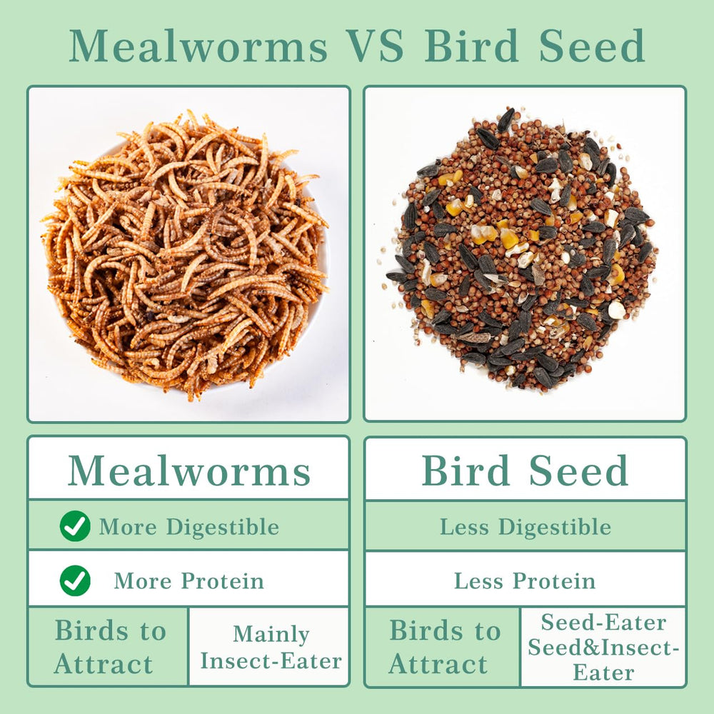 WORMSKING mealworms bag displayed in garden