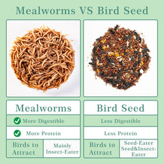 WORMSKING mealworms bag displayed in garden
