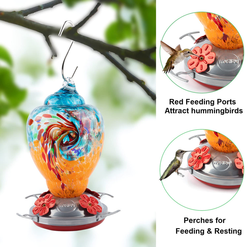 WOSIBO Hummingbird Feeder with ant moat and hanging hook