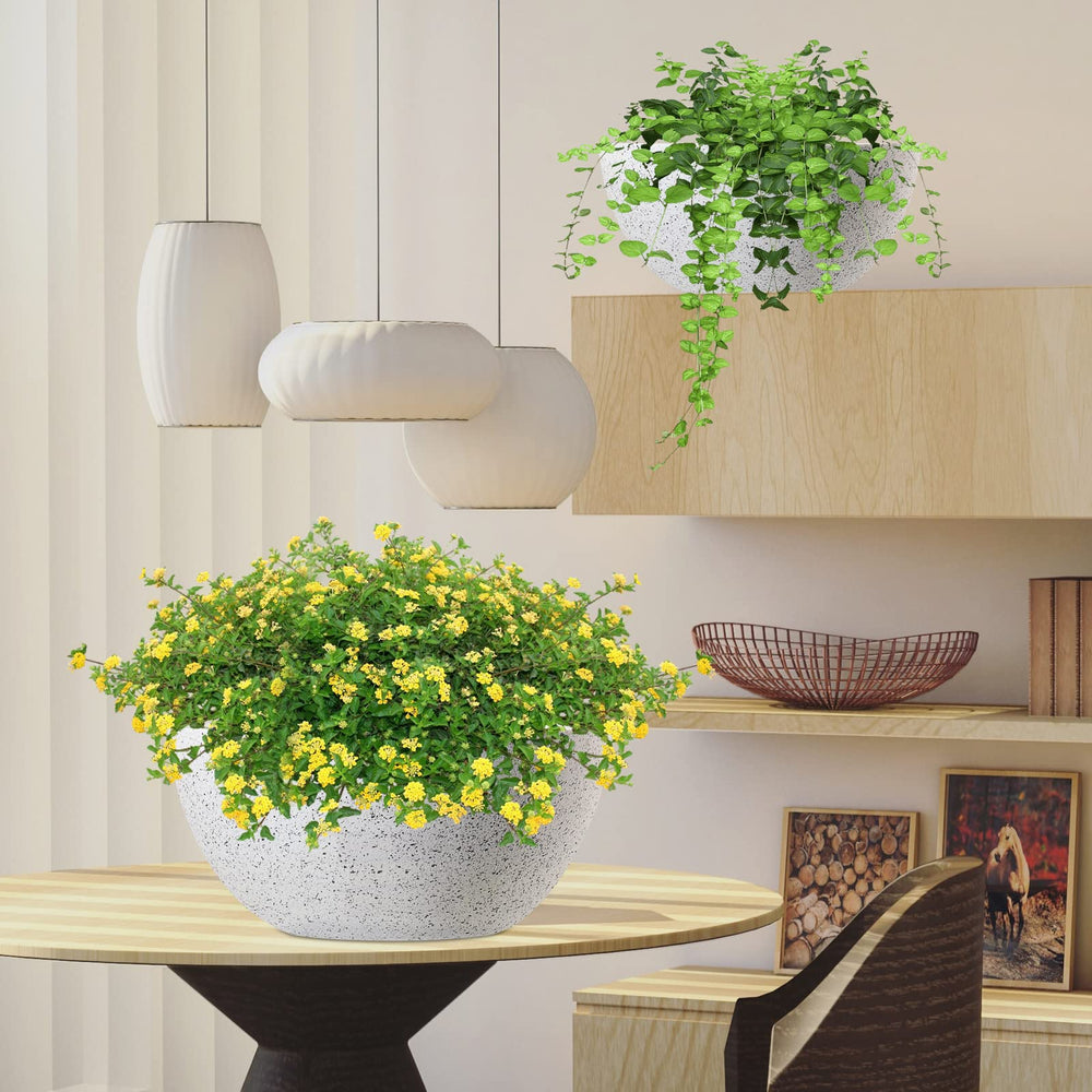WOUSIWER 13 inch hanging planter with indoor plants