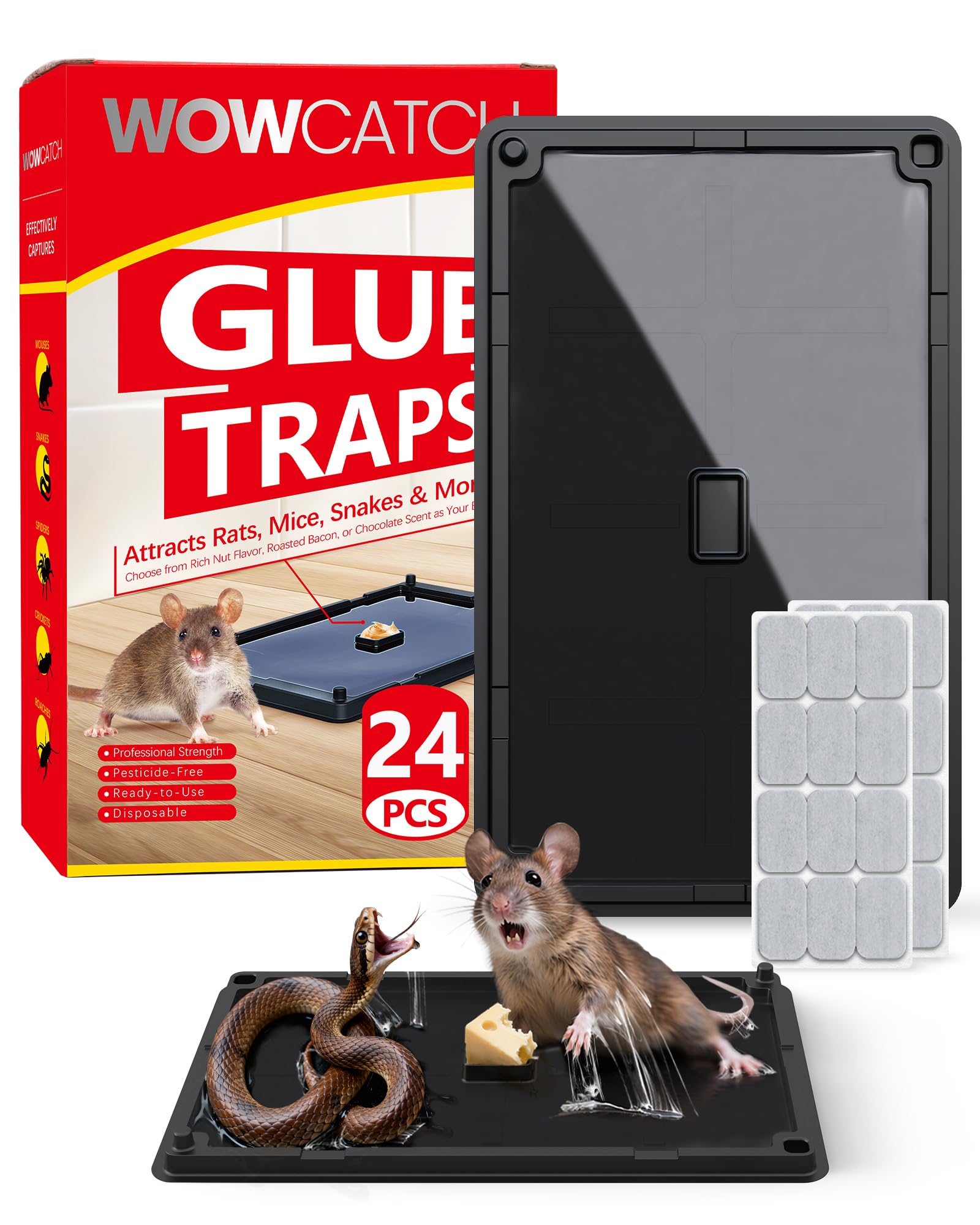 WowCatch 24 pack extra sticky glue traps front view