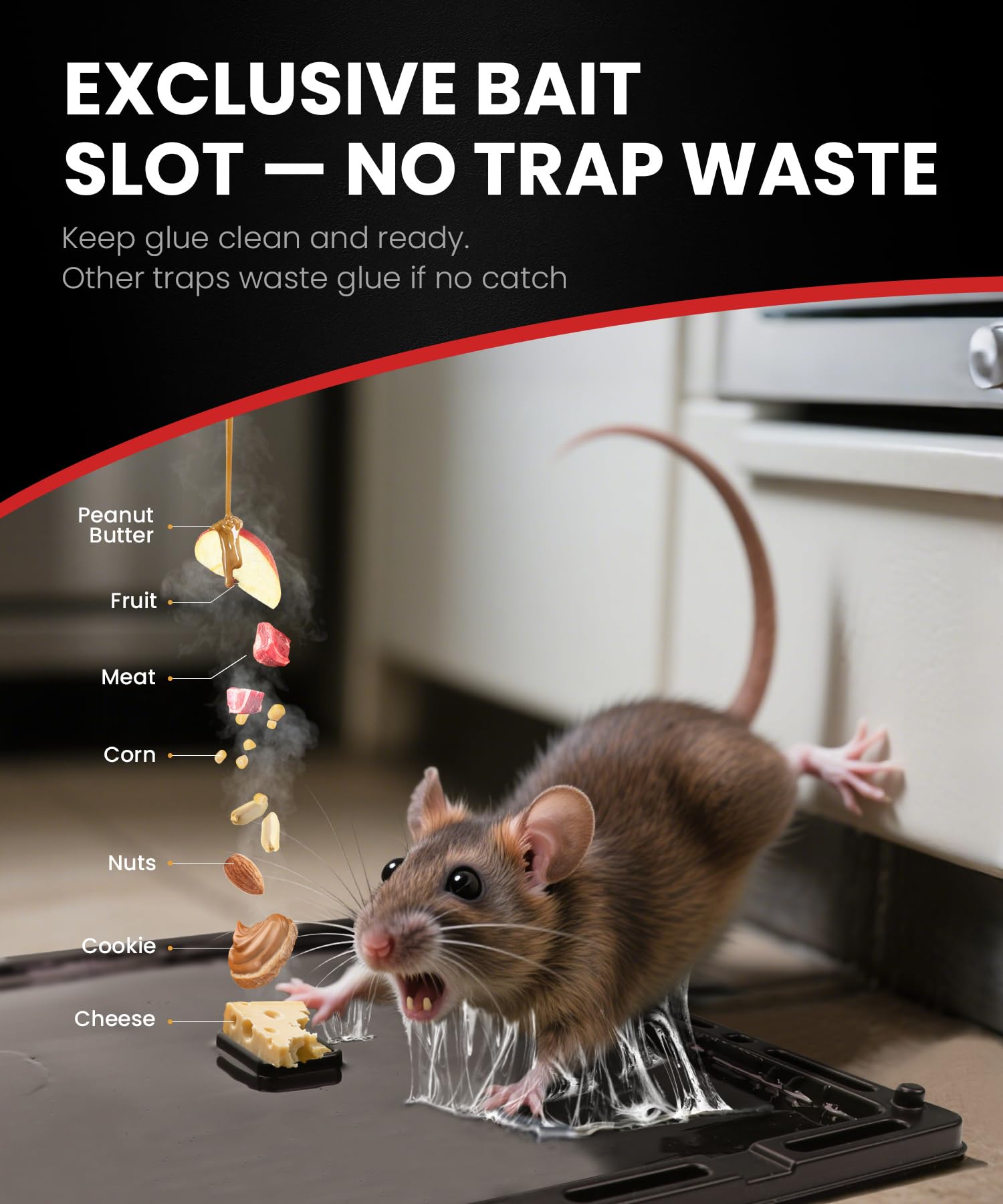 WowCatch glue traps showing sticky surface close-up