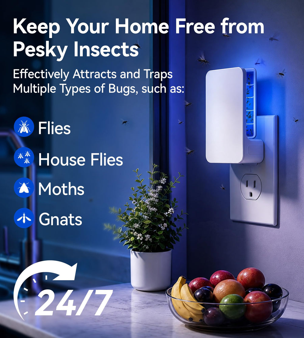 WowCatch Indoor Fly Trap in a kitchen setting