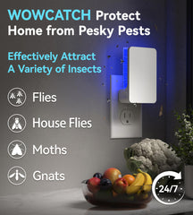WowCatch Indoor Fly Trap with adhesive card replacement process