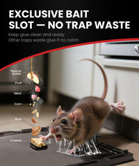 WowCatch Jumbo Glue Trap showing extra bait slot