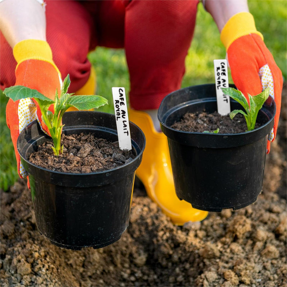 Writing on Dalzom plant label with permanent marker