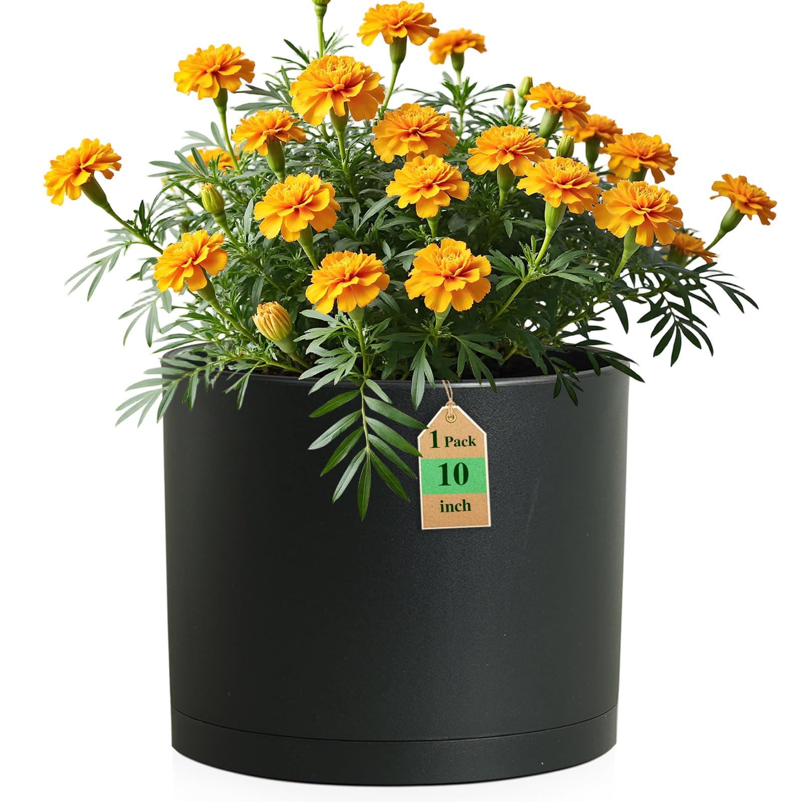 WSMKSZ 10 Inch Round Black Plastic Plant Pot front view with saucer