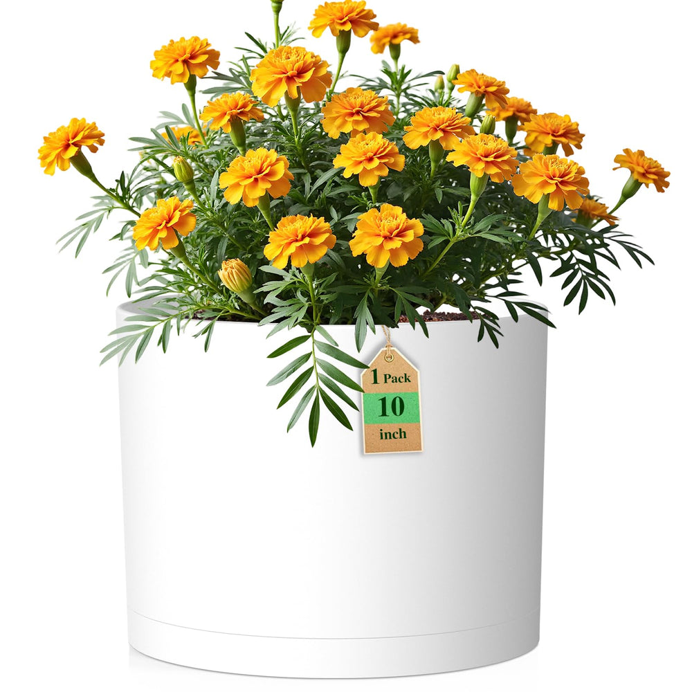 WSMKSZ 10 inch round plastic plant pot front view with drainage holes