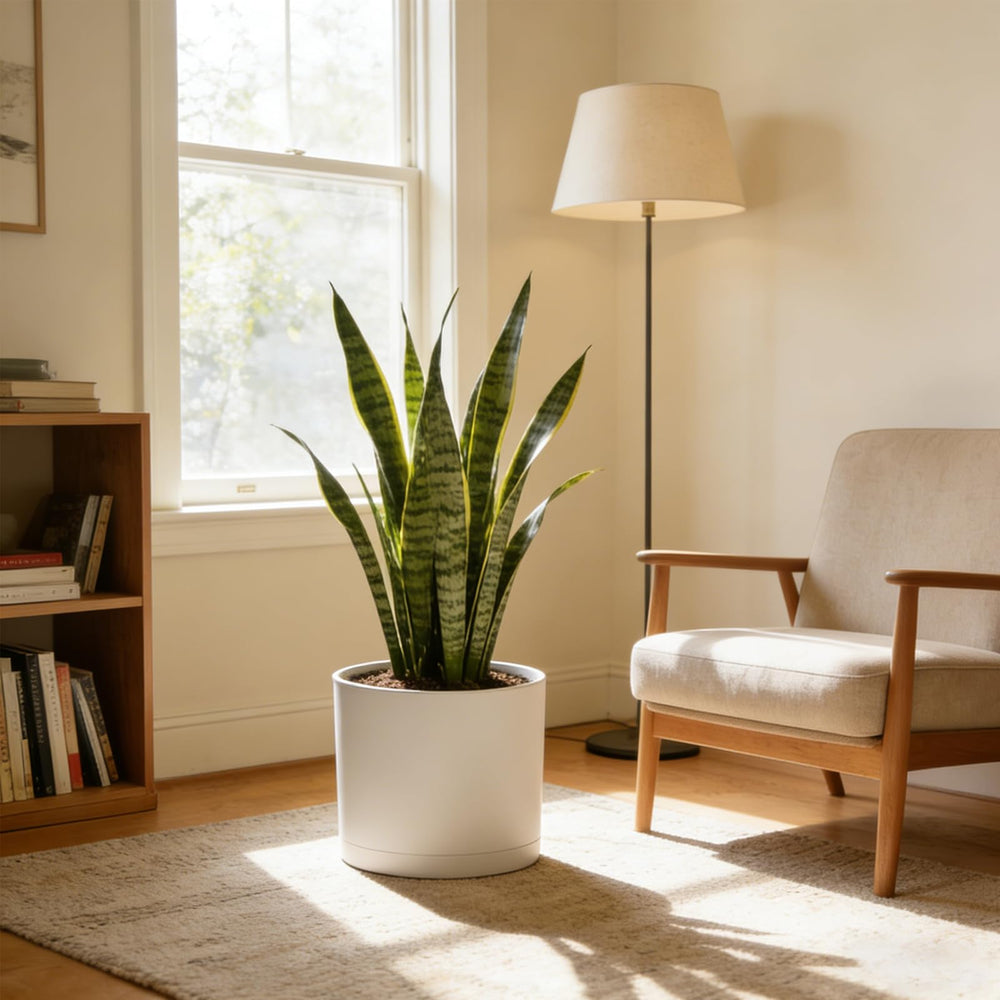 WSMKSZ 10 inch round plastic plant pot showcasing its matte white finish