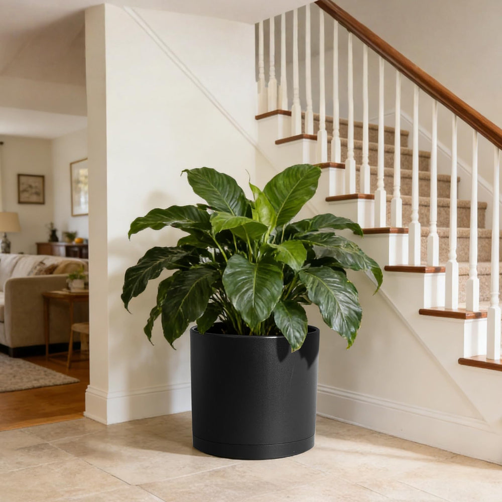 WSMKSZ 14 Inch Heavy-Duty Cylinder Deep Planter showing smooth matte finish