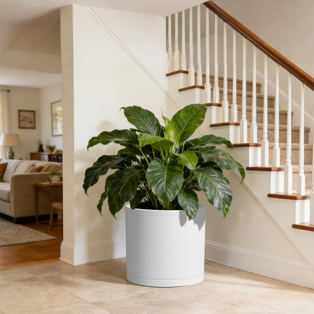 WSMKSZ 14 inch heavy-duty planter placed on a patio with vibrant plants