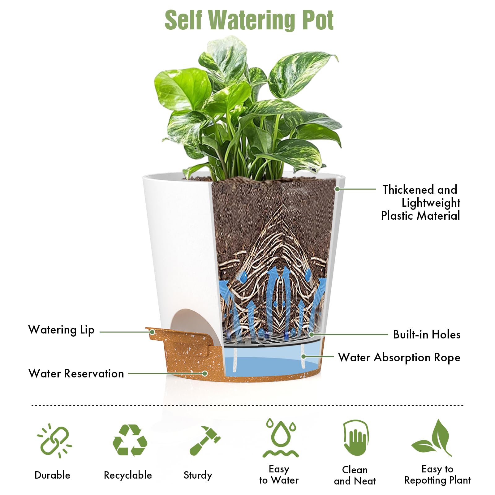 WSMKSZ 4 inch pots with plants on a window sill