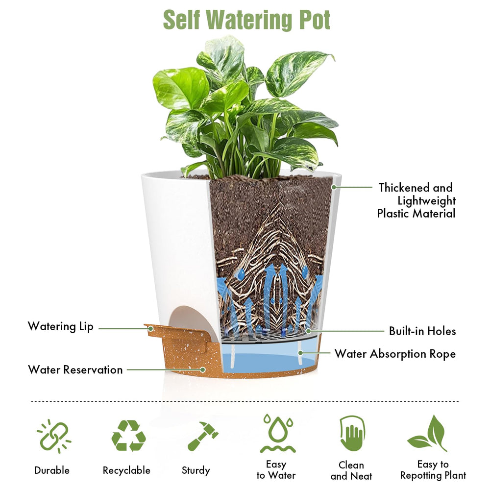 WSMKSZ 4 inch pots with plants on a window sill