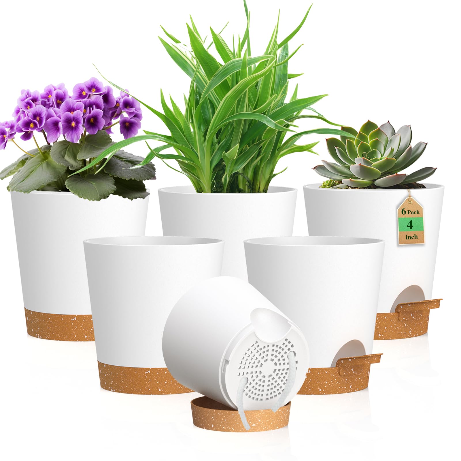 WSMKSZ 4 inch self watering pot front view, white and brown