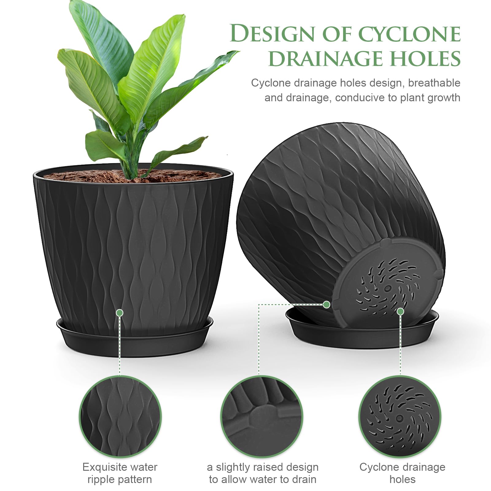 WSMKSZ 6 inch black plant pot with saucer included