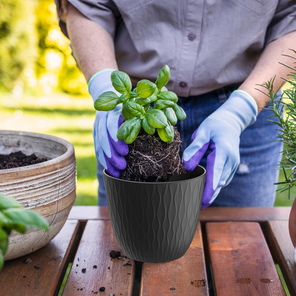 WSMKSZ 6 inch black plant pots arranged on a shelf
