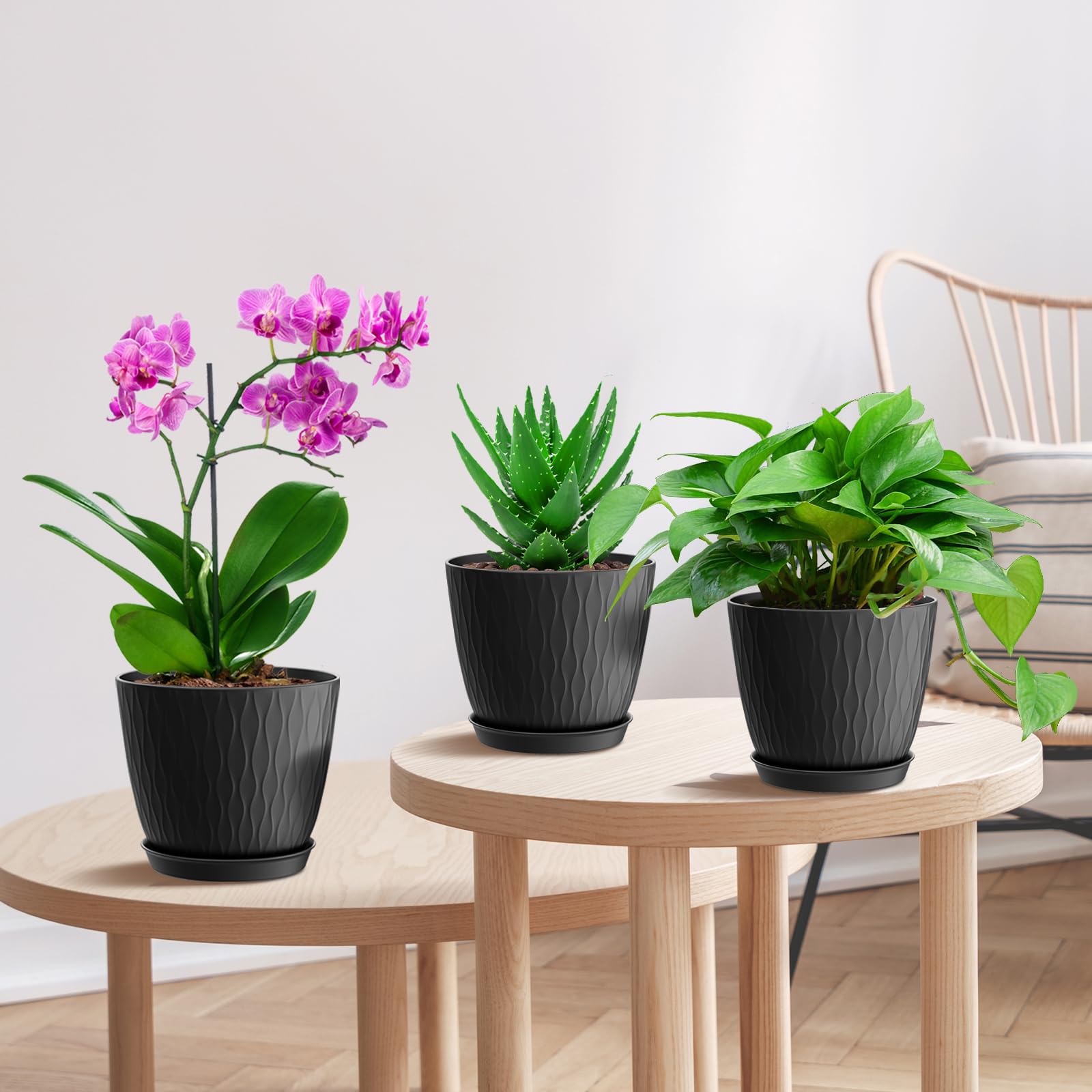 WSMKSZ 6 inch black plant pots in a bright kitchen setting