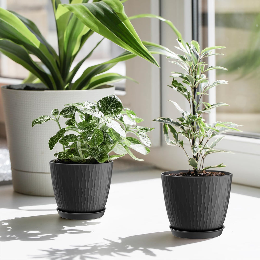 WSMKSZ 6 inch black plant pots showcasing drainage design