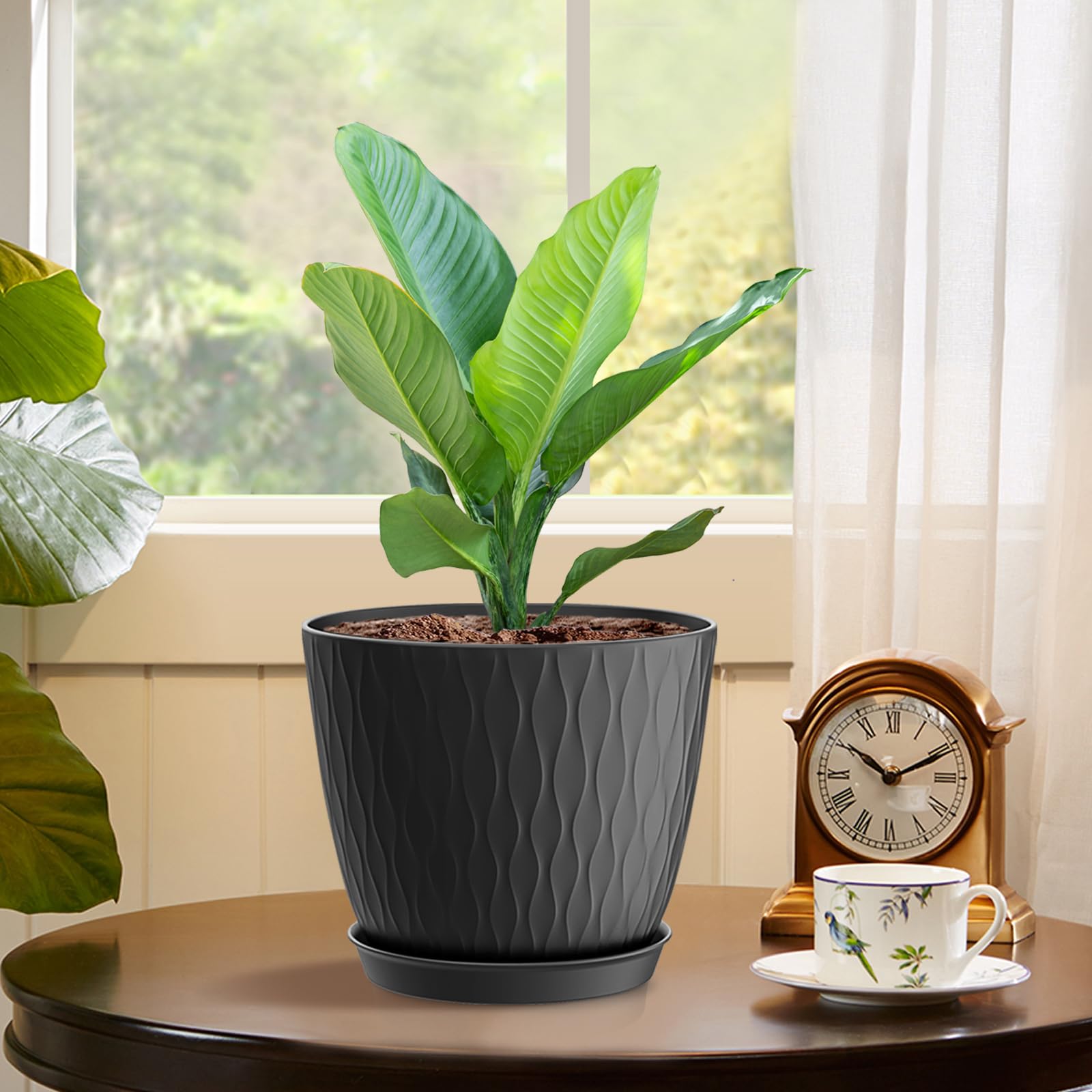 WSMKSZ 6 inch black plant pots with small succulents