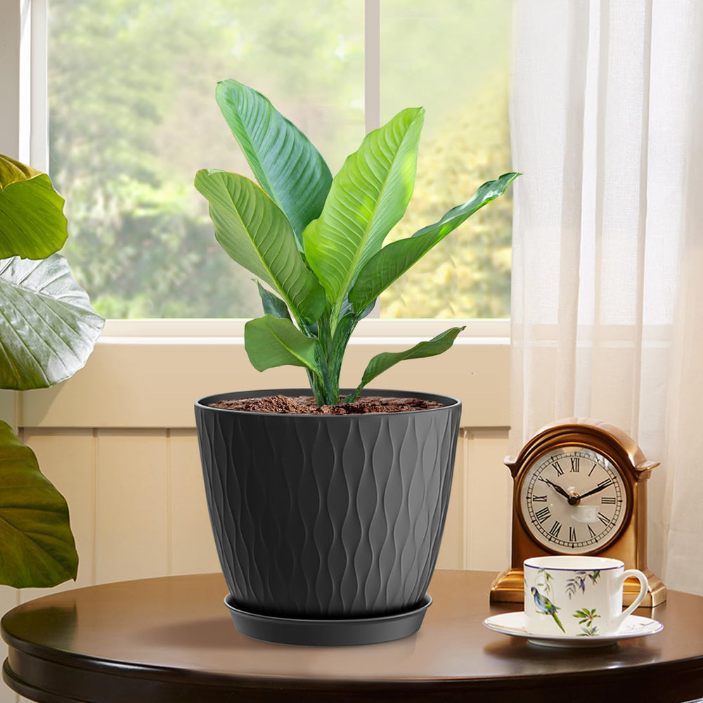 WSMKSZ 6 inch black plant pots with small succulents