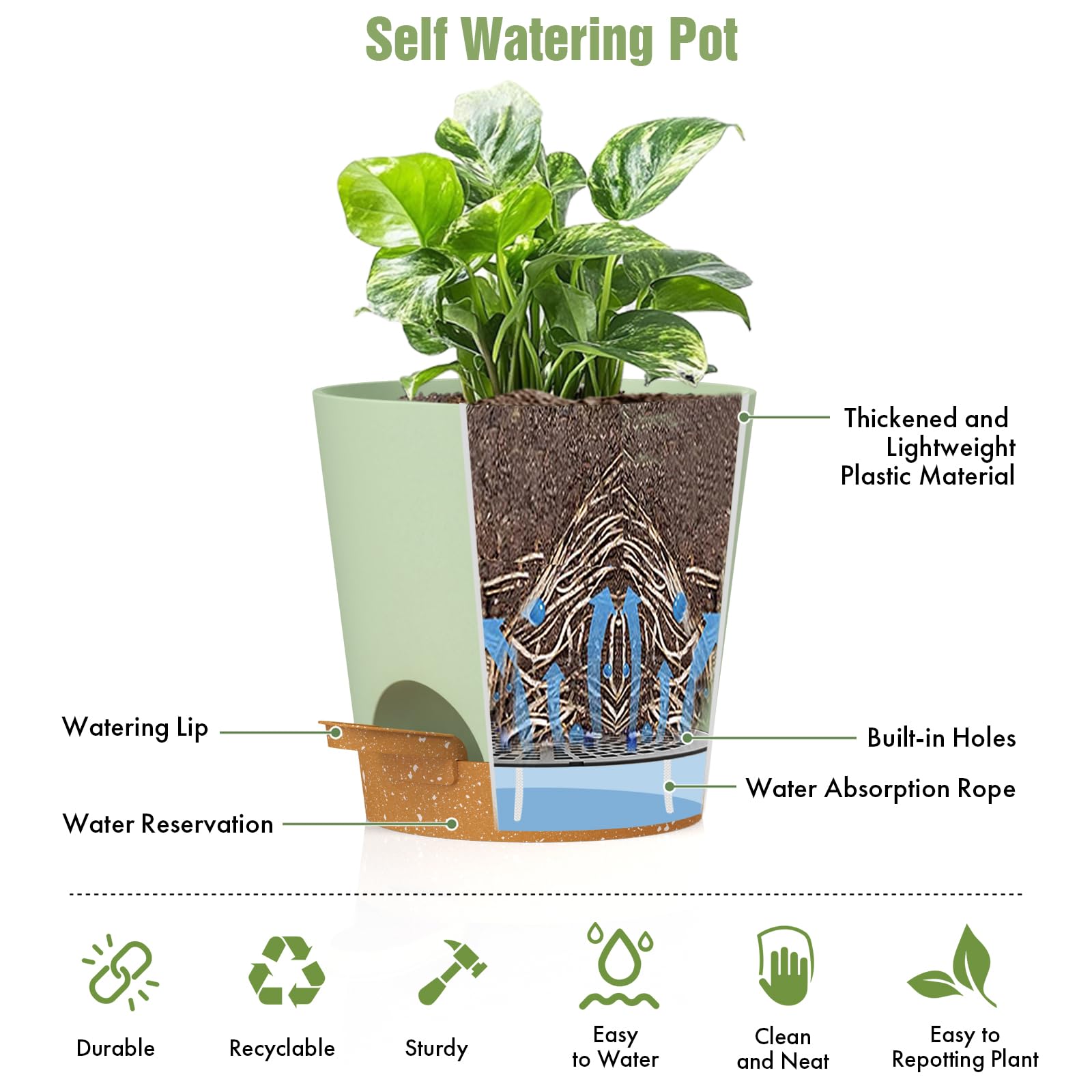 WSMKSZ 6 pack of self-watering pots with various plants