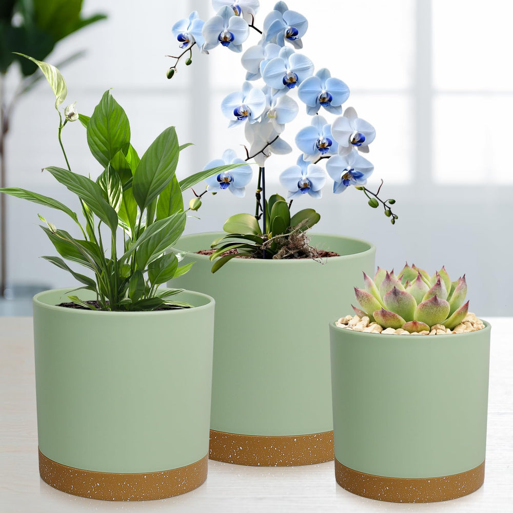 WSMKSZ flower pots set with saucers