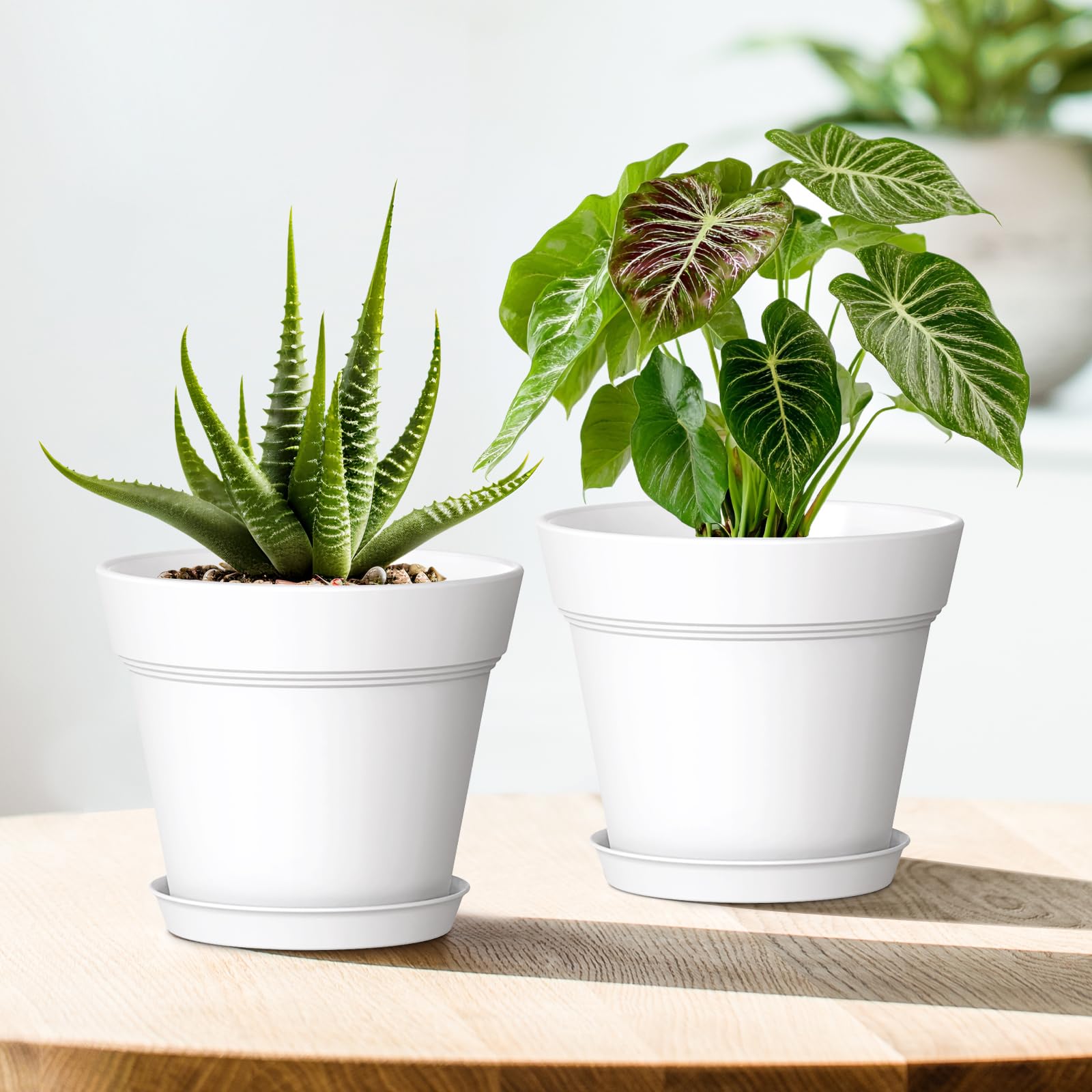 WSMKSZ plant pots displayed on a balcony