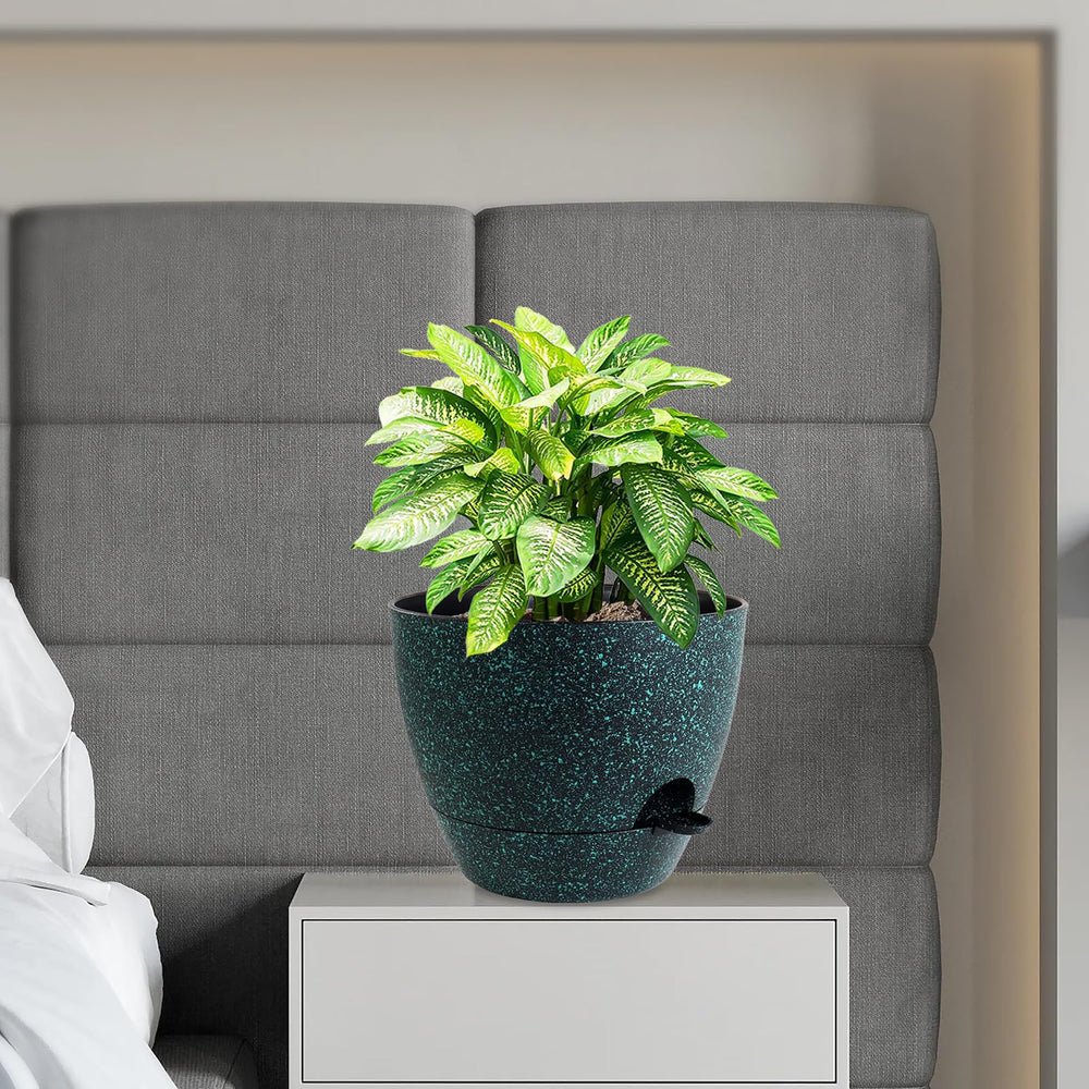 WSMKSZ self watering pot with lush indoor plants