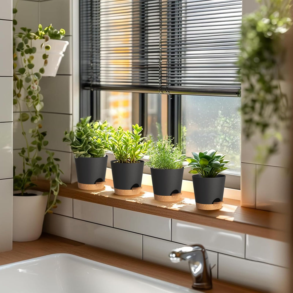 WSMKSZ self watering pots displayed on a kitchen window sill