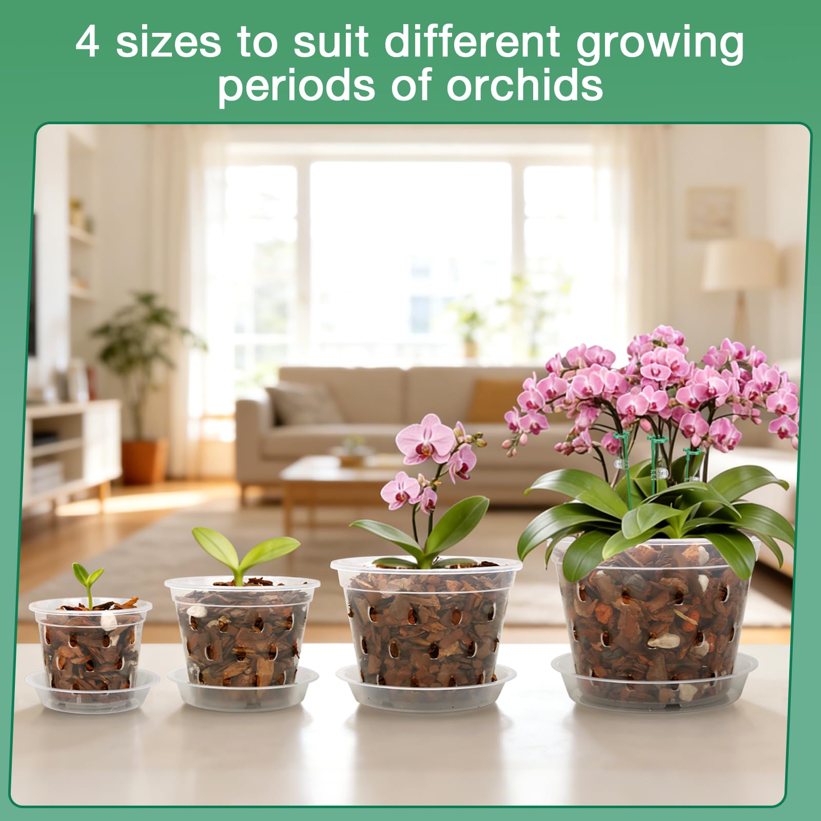 WTXHOP clear orchid pot set displayed with saucers