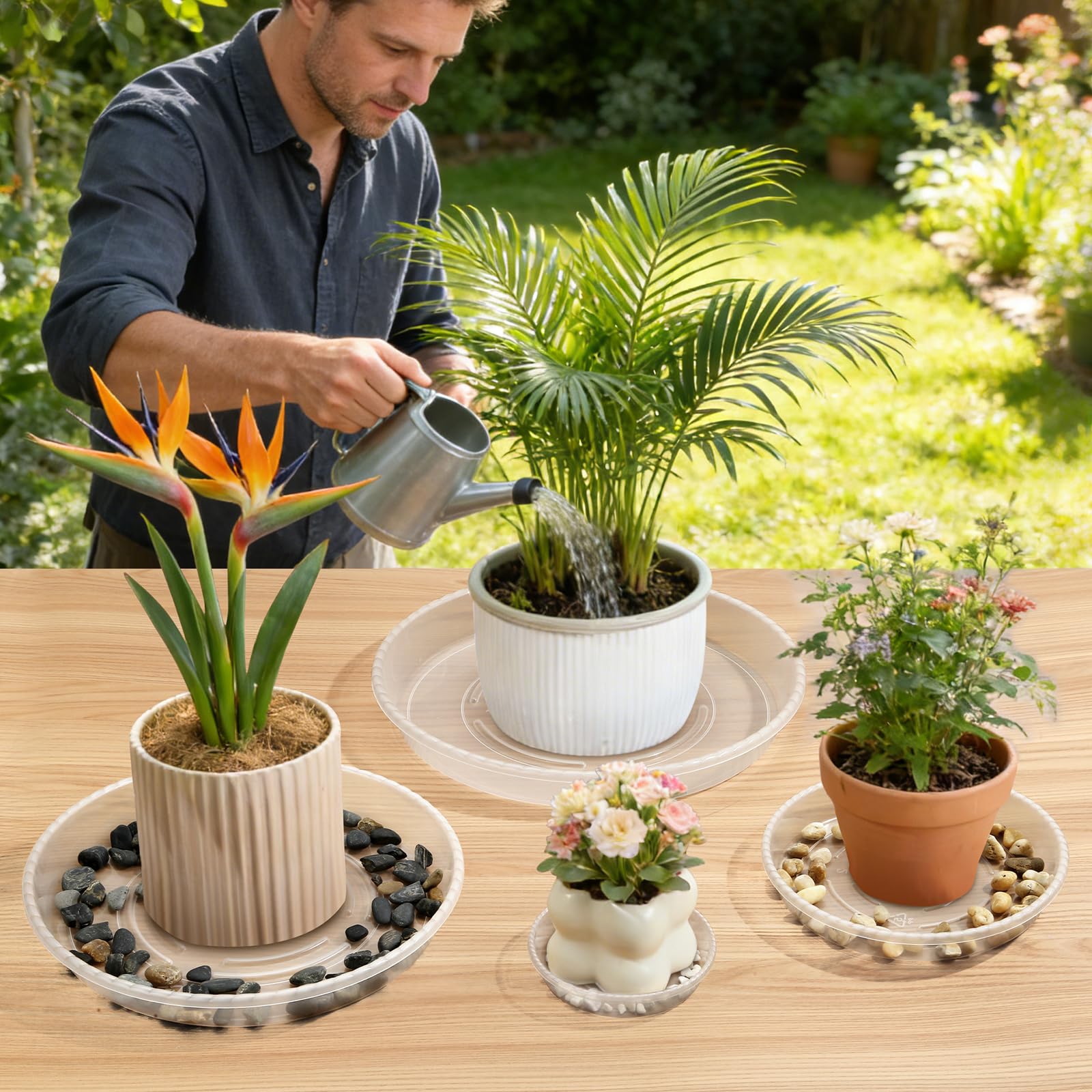 WTXHOP Clear Plant Saucers stacked together