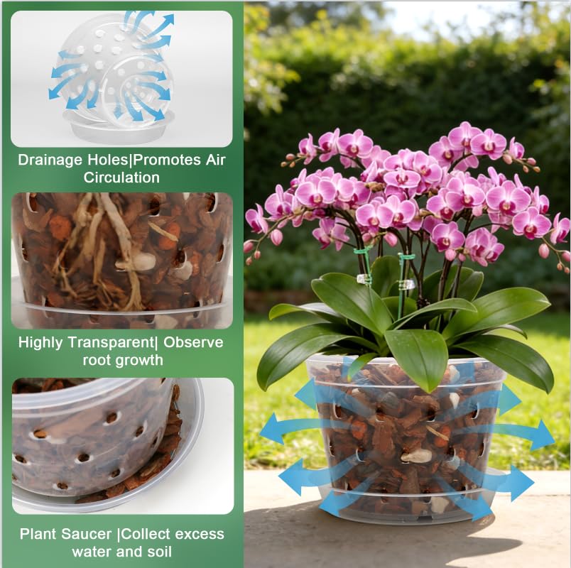 WTXHOP orchid pots filled with healthy plants