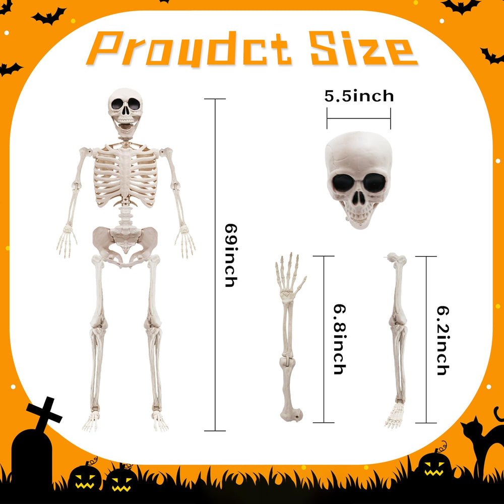Wuridiwa Life Size Skeleton side view with movable joints