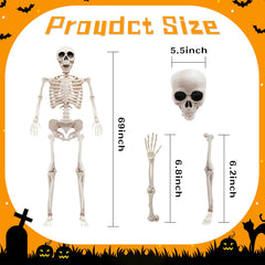 Wuridiwa Life Size Skeleton side view with movable joints