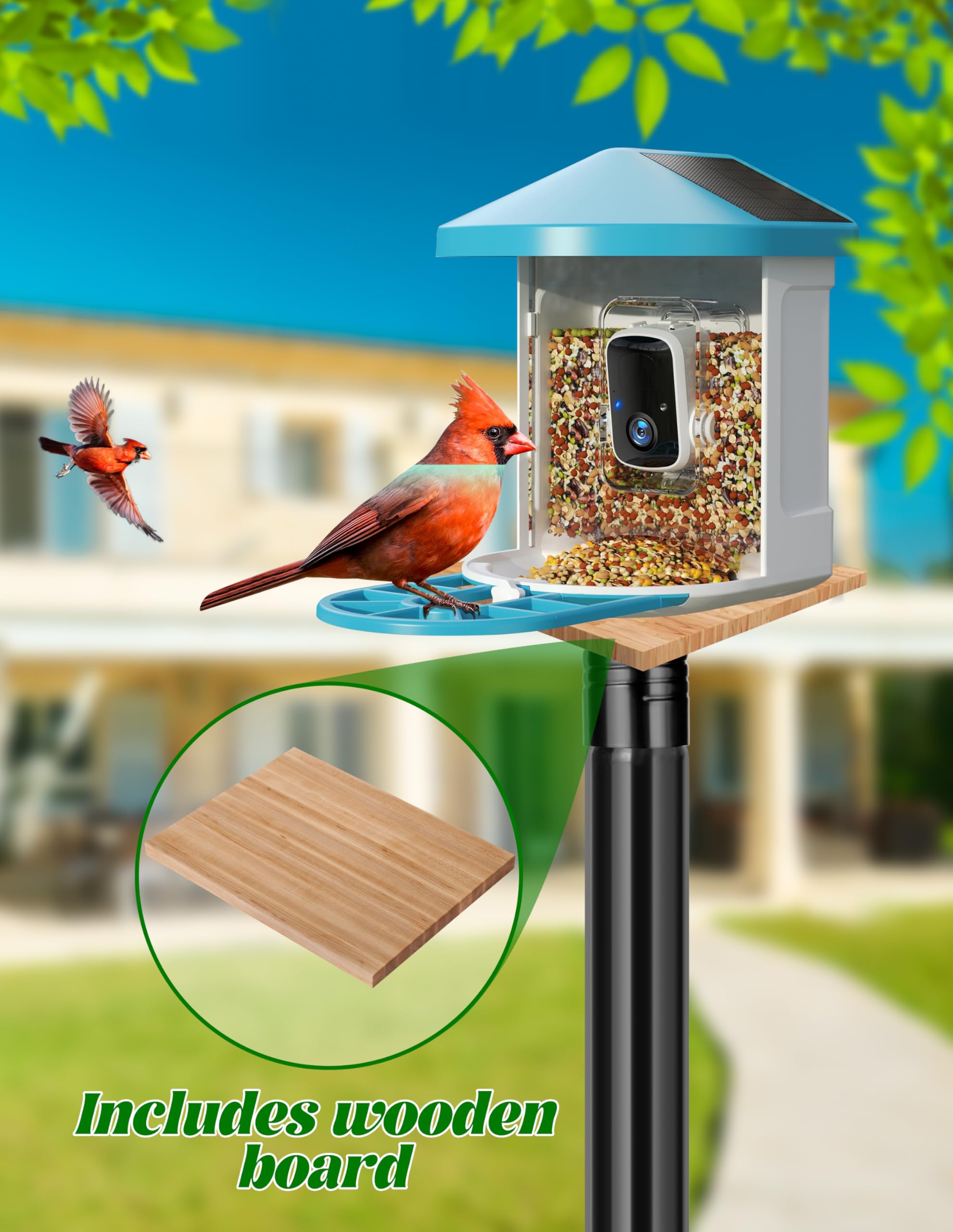 XDW-GIFTS Bird House Pole in outdoor setting