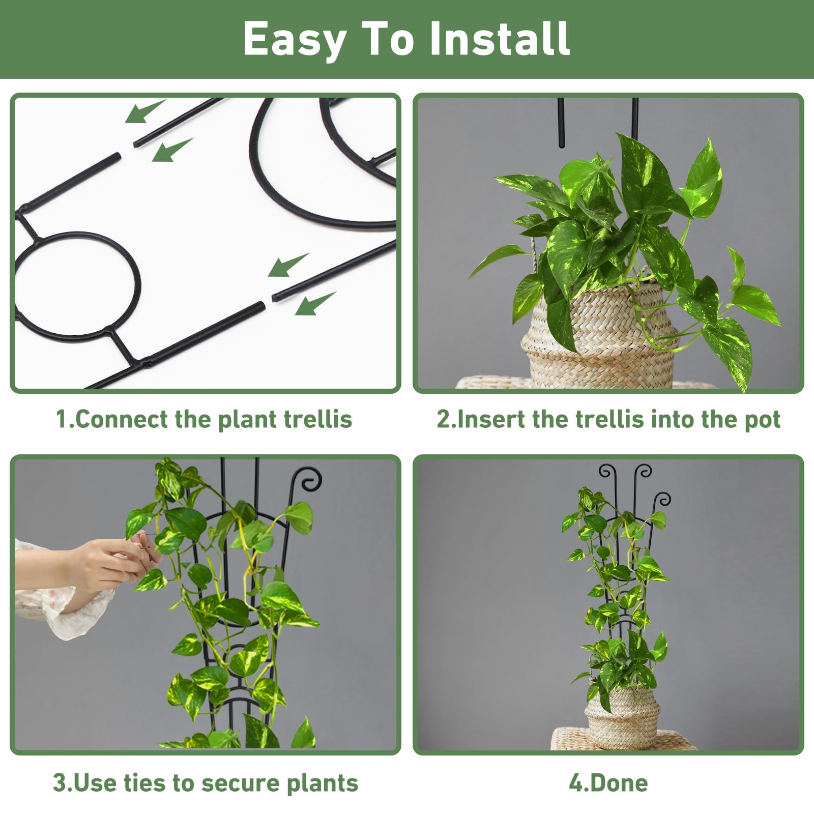 Xeeol adjustable trellis demonstrating expandable feature