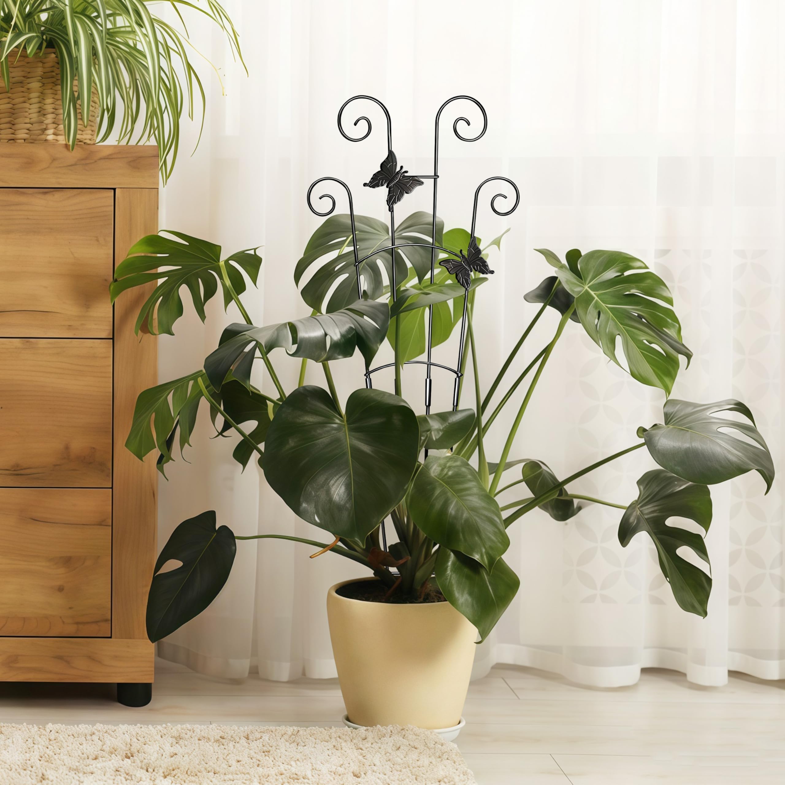 Xeeol plant trellis showing modular design and height adjustment