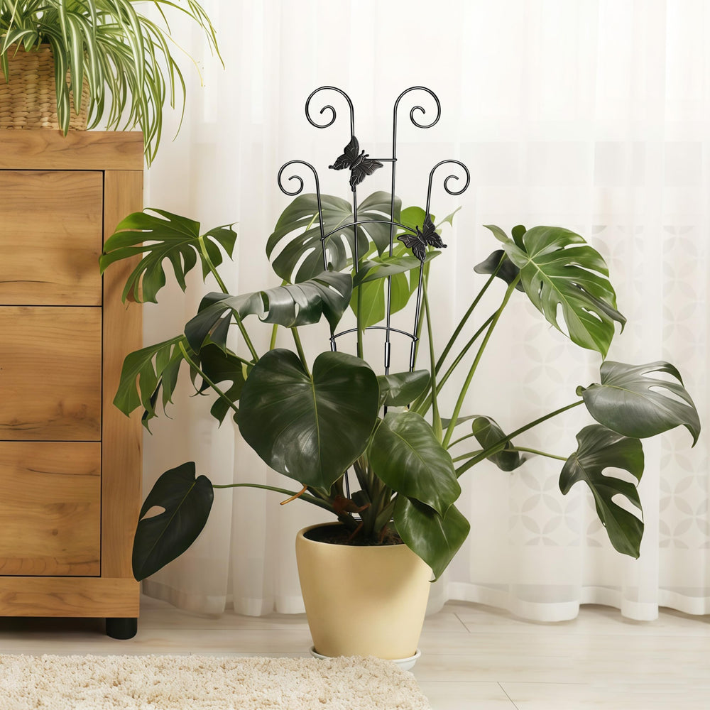 Xeeol plant trellis showing modular design and height adjustment