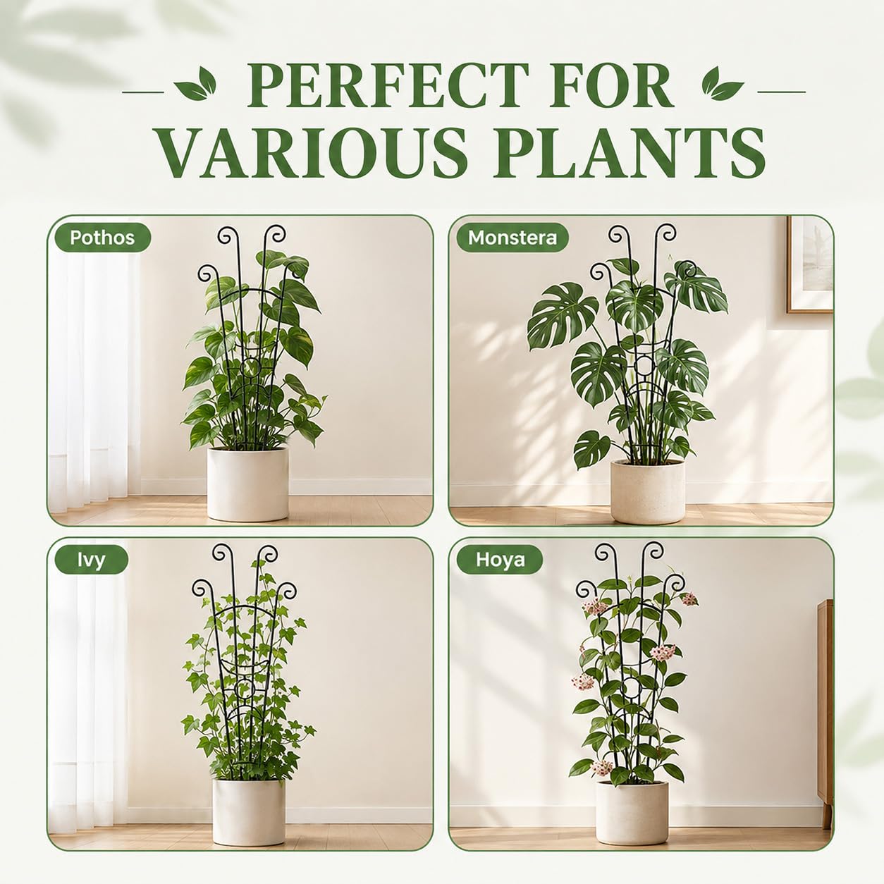 Xeeol trellis supporting climbing plants indoors