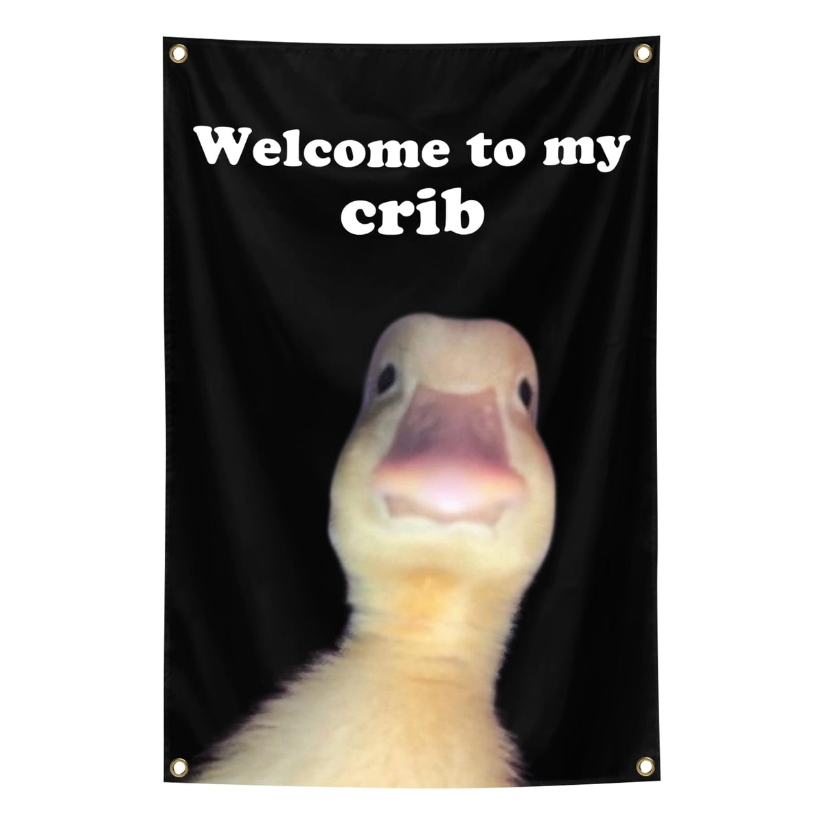XEODE Welcome to My Crib Flag front view with brass grommets