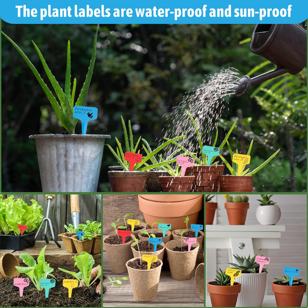 Xgunion plant labels used on various garden plants