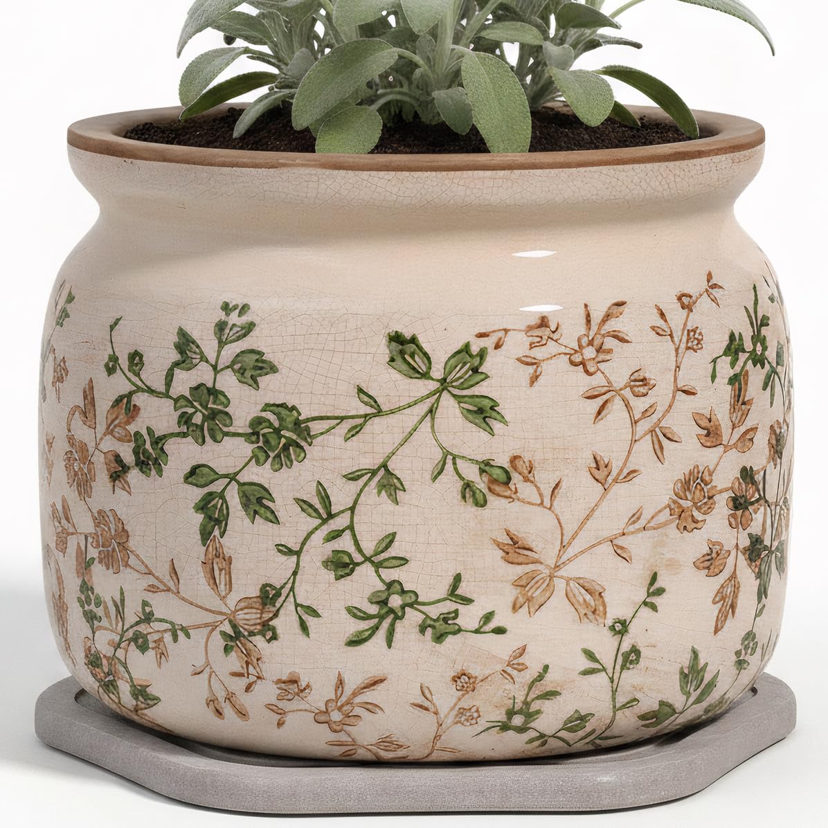 Xiaan Jiaju 7.7-inch ceramic plant pot in sage beige with decorative saucer